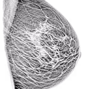 Women's Imaging Reads